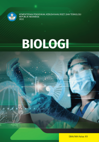 Image of Biologi untuk SMA/MA Kelas XII Kurikulum Merdeka