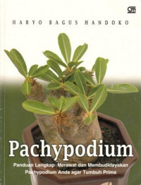 Pachypodium : panduan lengkap merawat dan membudidayakan Pachypodium anda agar tumbuh prima