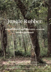 Image of Jungle rubber : a traditional agroforestry system under pressure